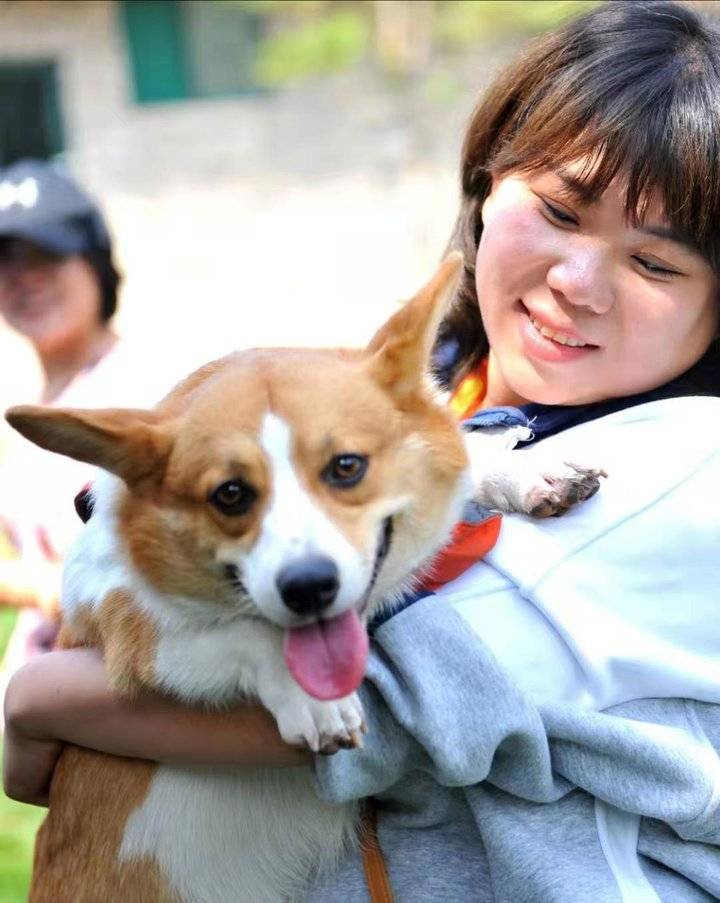 廿亩内人口_人口普查图片