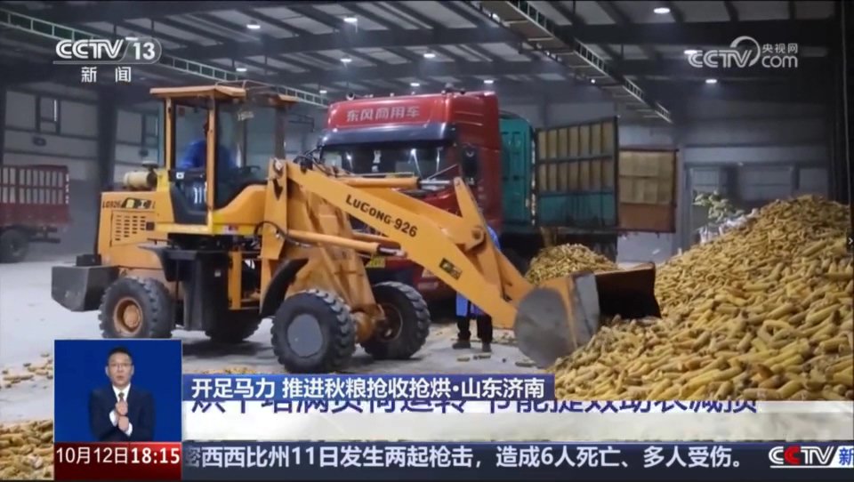 开足马力 推进秋粮抢收抢烘·山东济南 烘干塔满负荷运转 节能提效助农减损