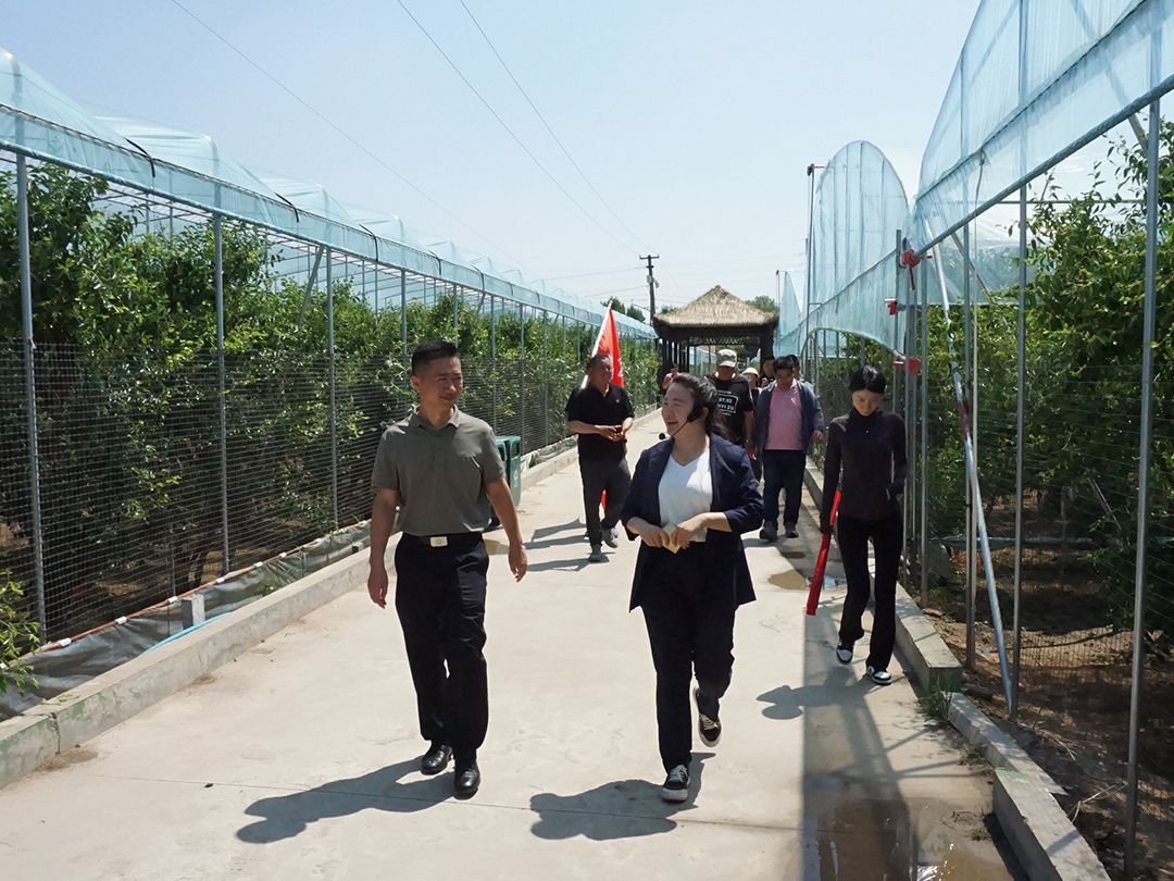 2023年“V”行滨州·走进“沾化枣花节”采风活动第二站——走进滨州沾化冬枣生态旅游区