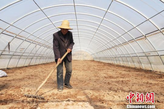 甘肃庆阳瓜农毛军郎在大棚中平地。　盘小美　摄