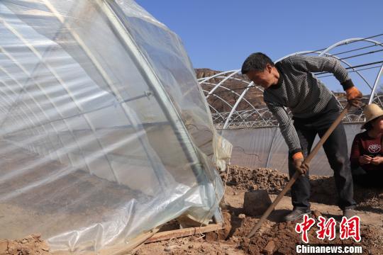 蒲河村村民修建大棚。　盘小美 摄