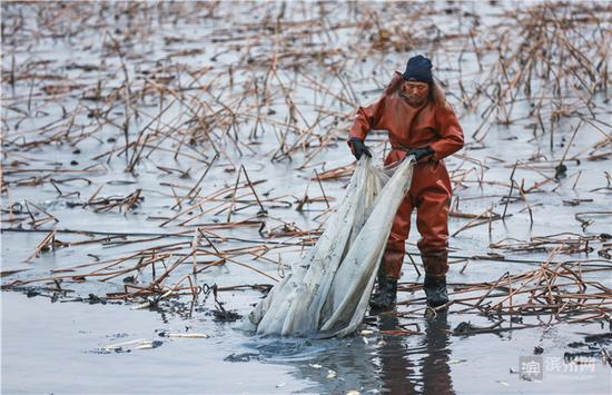打油诗“别人去烤火,我往湖里走”,便是挖藕工的真实生活。