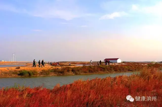 樱 花 山 风 景 区
