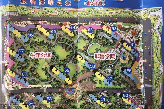 维多利亚湾前期的宣传单页,绿地丰富。(业主供图)