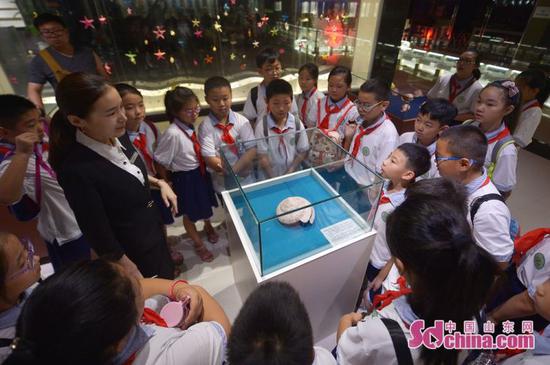 孩子们在青岛贝壳博物馆参观了解“镇馆之宝”龙宫翁戎螺。