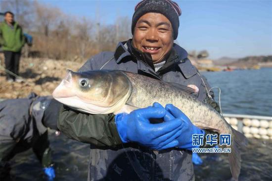 12月14日，渔民在山东省临沂市沂南县香山湖展示刚捕获的大鱼。