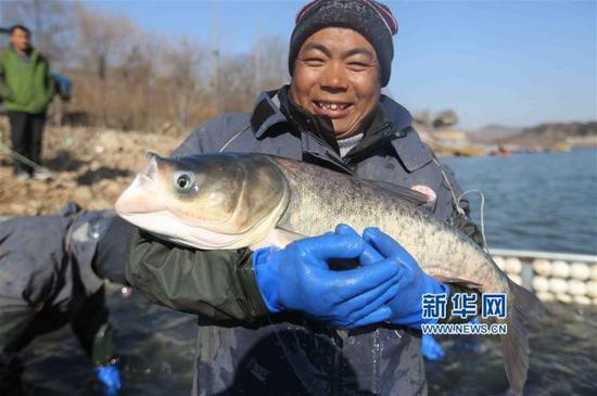 12月14日,漁民在山東省臨沂市沂南縣香山湖展示剛捕獲的大魚。