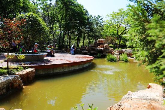 會“呼吸”的公園 潑下一盆水立馬吸干凈