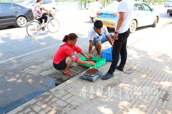 菏泽街头摊贩正在销售金蝉。