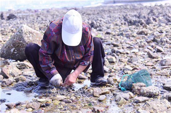 市民在海滩上赶海