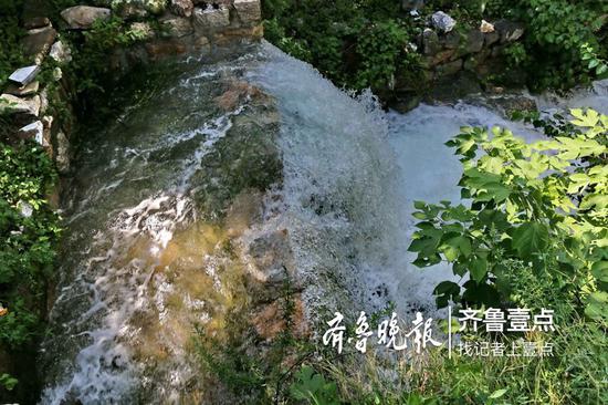(來源:齊魯壹點)
