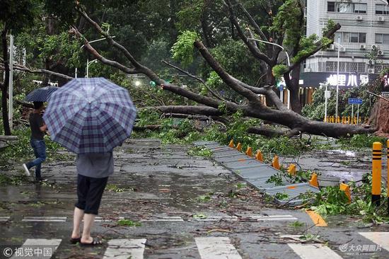 台风“山竹”来袭，深圳市马路倒下数棵大树