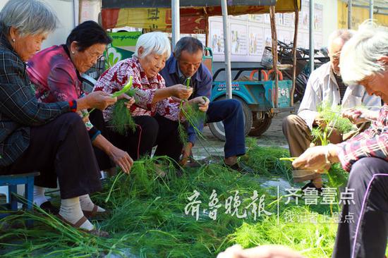 来吃饺子宴的老人，帮忙摘菜。