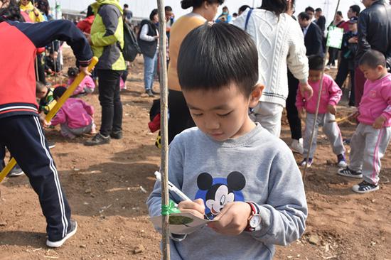 來自山師幼兒園的尚官正小朋友在心愿卡上畫下一棵小樹。