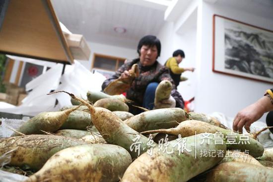 擦去蘿卜上的泥土