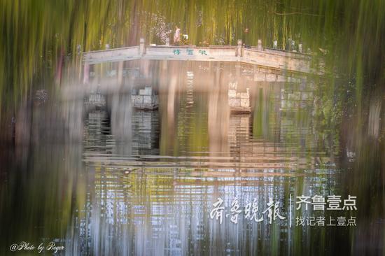 陈甡 3月21日摄于济南大明湖