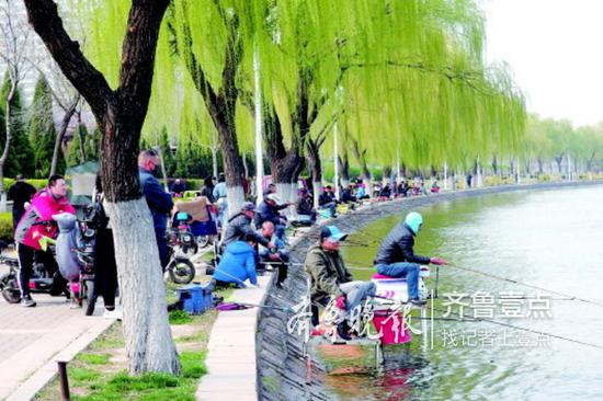 进入4月,沂河畔聚集着大量的钓鱼爱好者。