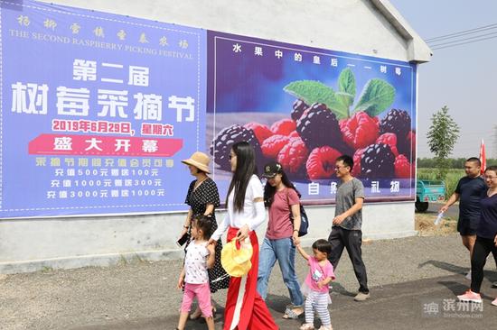 呼朋引伴组团前来采摘游玩的市民。