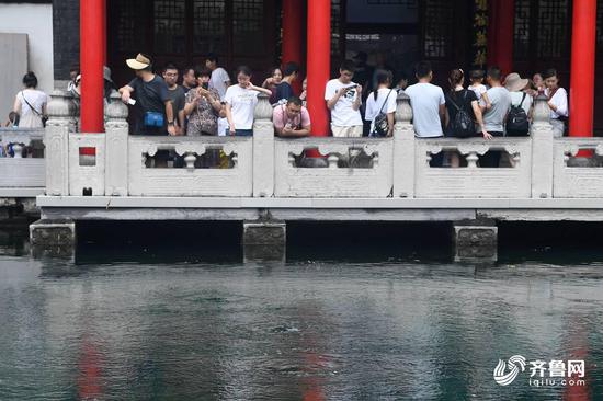 三股泉眼從池底冒出來,在水面形成一圈圈的波浪向四周擴散。