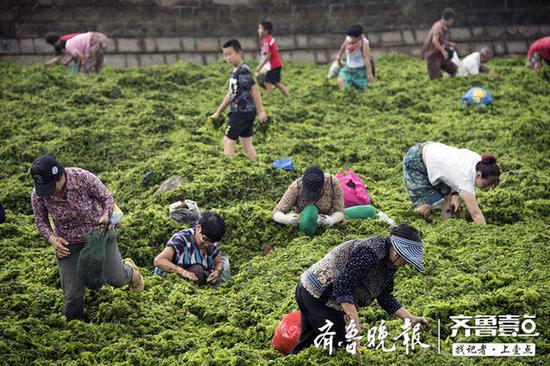 (齊魯晚報·齊魯壹點記者 杜曉丹 通訊員 孫紅燕)