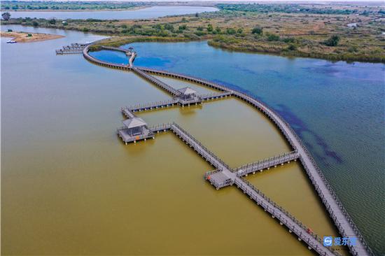 黄河口湿地公园航拍