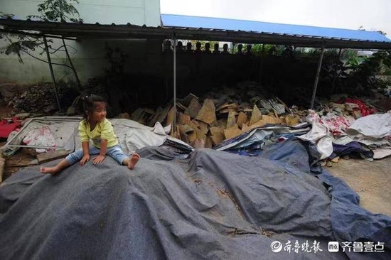 王开全的孙女骑在一堆徐公石上,这是她喜欢玩耍的地方