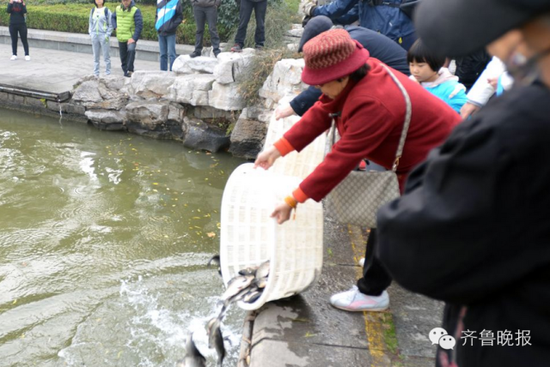 还有不少人在大明湖放生鳄龟，