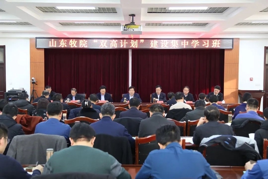 ▲2019年,学校启动“双高计划”建设