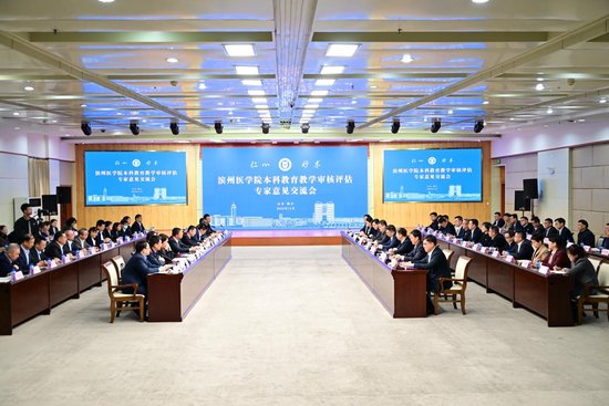 专家意见交流会