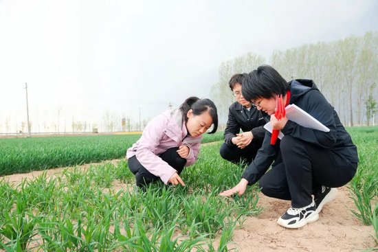 育种技术人员郭亚南（右一）向本报记者许天骄（左）介绍小麦育种情况。
