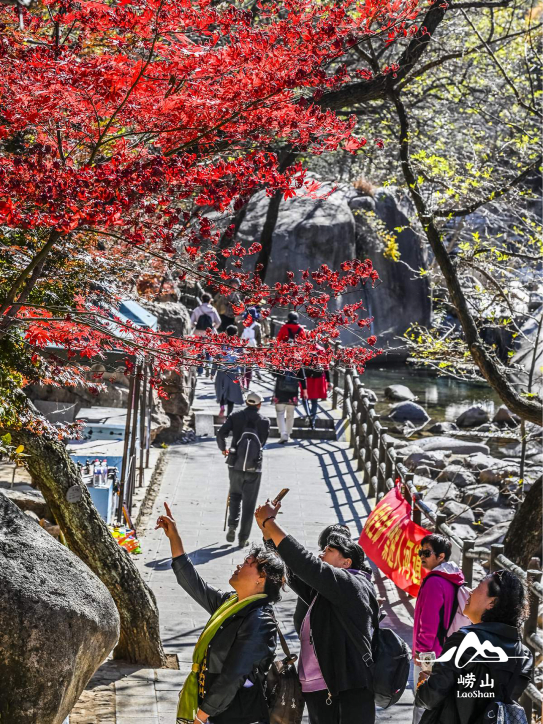 镜观崂山丨入目成画!共赴一场仙境之约|新浪_城市_城事关注_新浪山东_新浪网