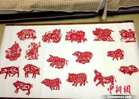 圖為齊秀花制作的部分以豬為題材的剪紙作品。 沙見龍 攝