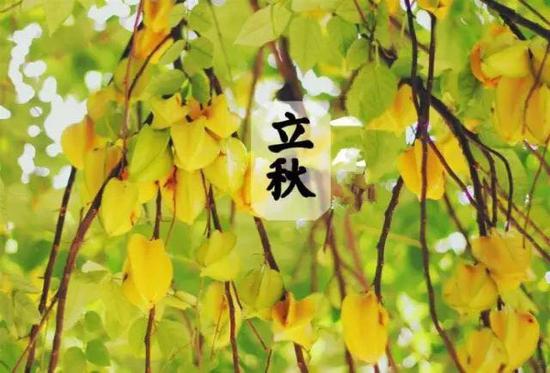 秋 | 養