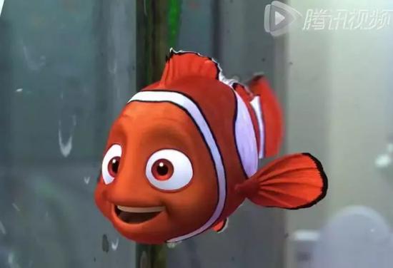 其實這種小丑魚是真實存在的,