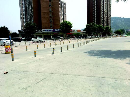 200多米的路上設置了297個隔離樁。 本報記者 劉飛躍 攝