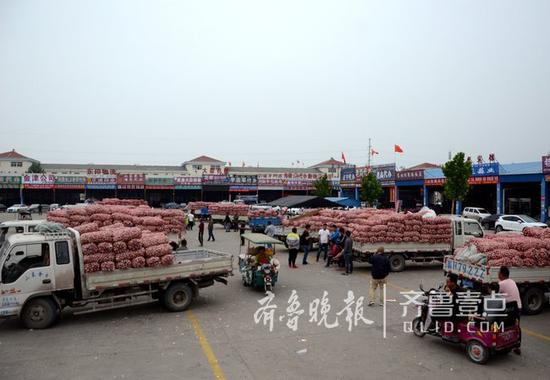 蒜價(jià)低迷,往年火爆的金鄉(xiāng)大蒜國(guó)際交易中心有些冷清。