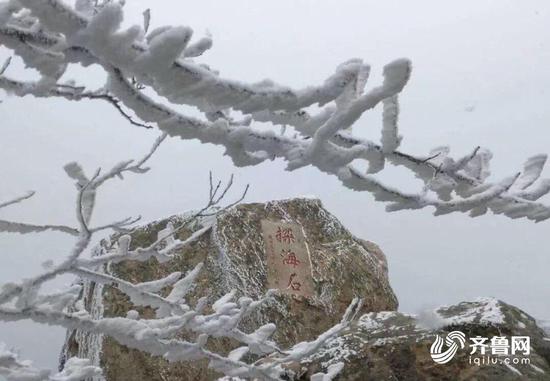 霧凇景觀在陣陣薄霧中若隱若現,宛如仙境一般。