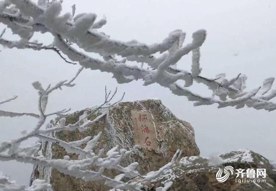 雾凇景观在阵阵薄雾中若隐若现，宛如仙境一般。