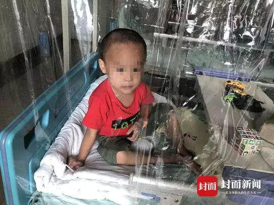 截至目前,孩子已经做了4次骨髓穿刺。