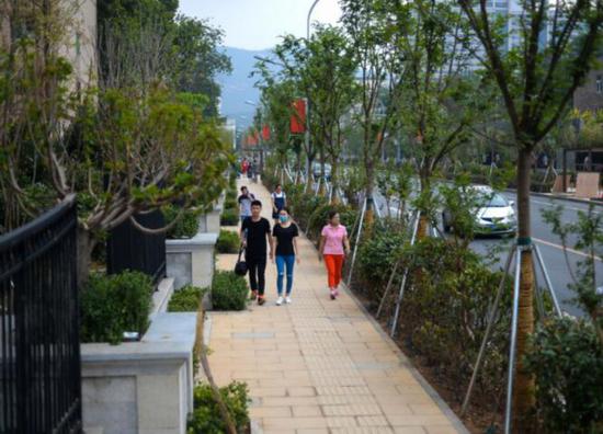 現在的濟南街頭,滿眼綠意整潔如新。