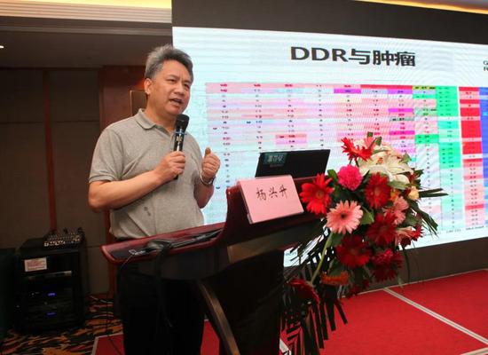 杨兴升教授:从BRCA到HRR到HRD