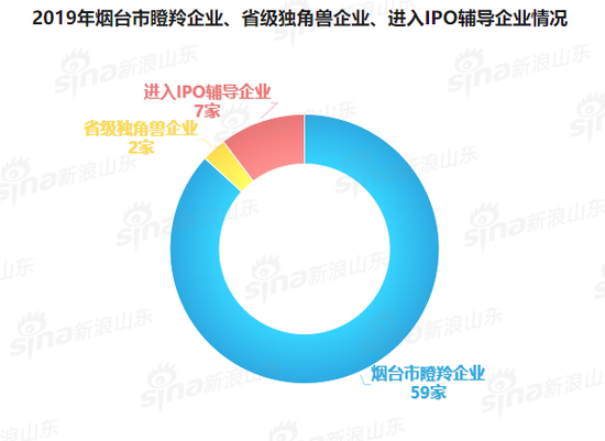 △ 2019年烟台市瞪羚企业、省级独角兽企业、进入IPO辅导企业情况(图片来源于新浪山东)