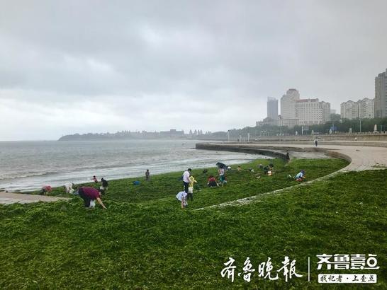 山东烟台人口_东部最具潜力的一座城市,GDP刚突破7000亿,便力压省会城市(3)
