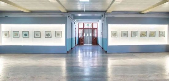 ▲学院“艺术回廊”