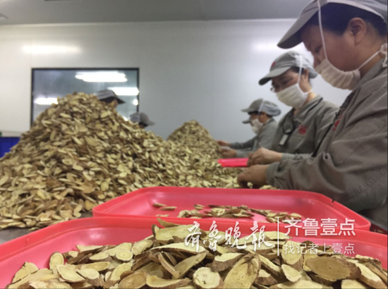 推動(dòng)中醫(yī)藥的規(guī)范與標(biāo)準(zhǔn)化
