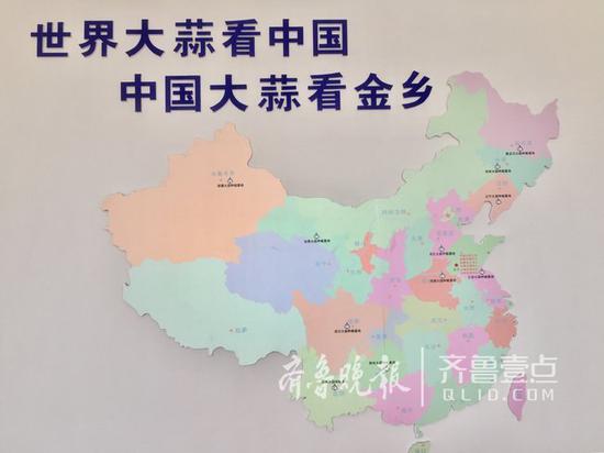 说到金乡大蒜的起源,就要追溯到20世纪80年代初的鱼山镇崔口村。