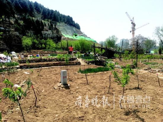 蝎子山的菜地里还搭建了休息的棚子甚至还有厕所。