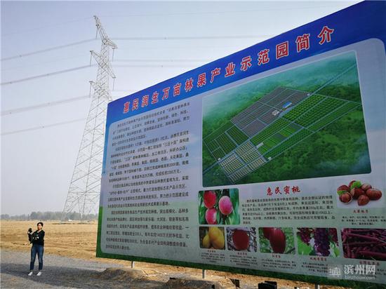 惠民大年陳萬畝林果產業示范園規劃