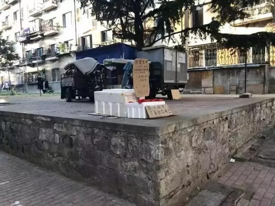 牌子下面的两个白色的保温箱中就放着惨遭毒手的四条狗的尸体。