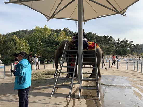 仍存安全隐患?